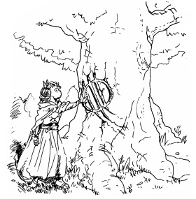 image of sage inspecting a marking on a tree